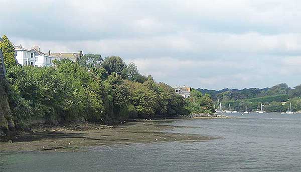 The site of the proposed Greenbank Hotel development - on an unspoiled foreshore